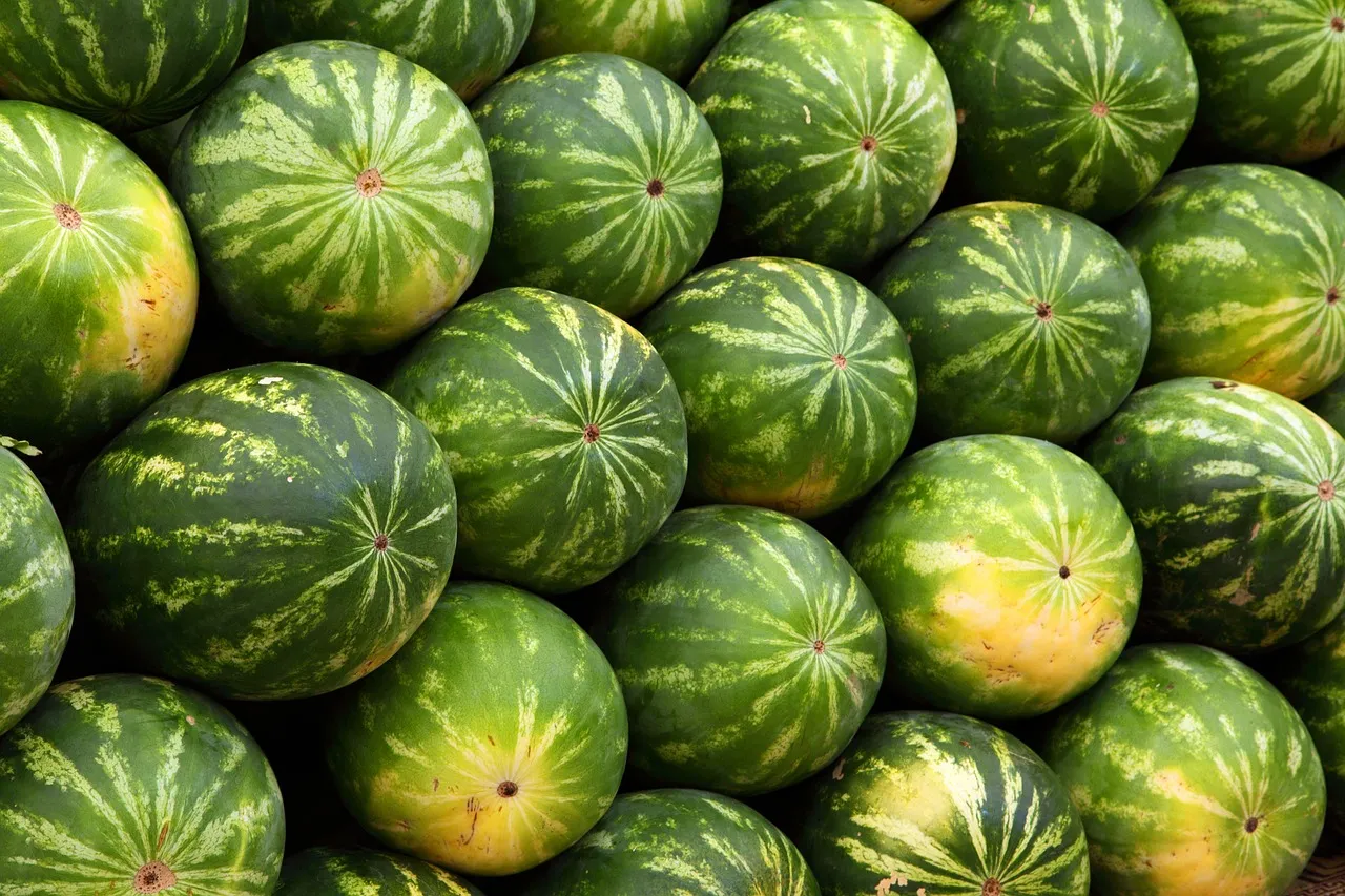 Feasibility Study for "Digital Farmers' Market" Platform Connecting Jordanian Small Farmers to Consumers, Restaurants, and Hotels