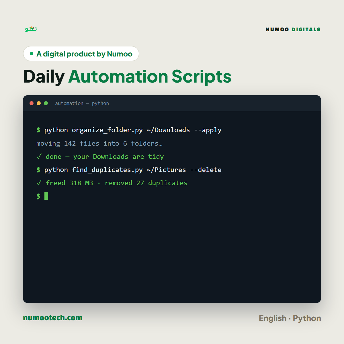 Daily Automation Scripts Pack